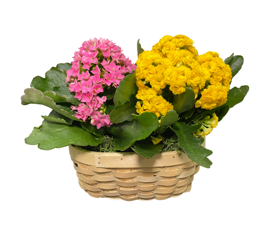 Flower Basket