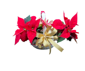 Basket of Joy Holiday Gift Baskets with Poinsettias