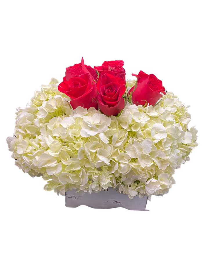 Roses & Hydrangeas